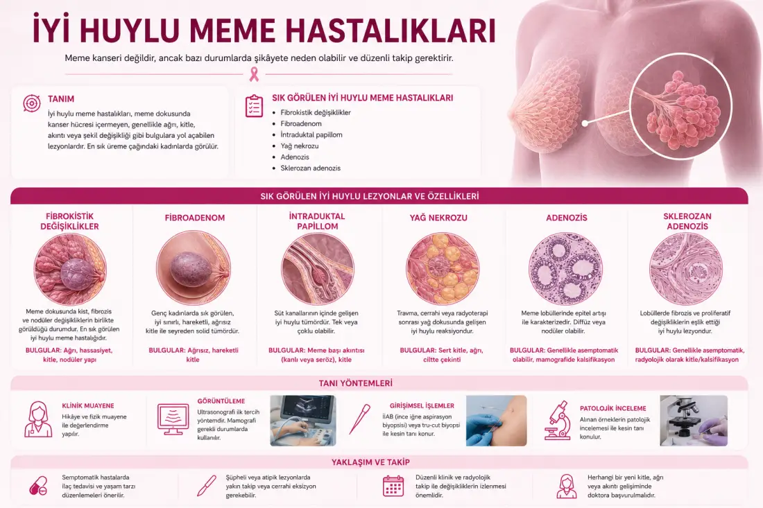 İyi Huylu Meme Hastalıkları